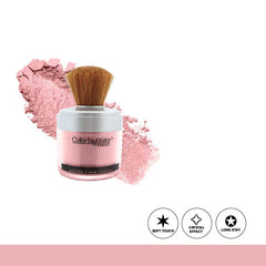Color Institute Face & Body Loose Shimmer Powder