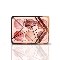 Color Institute 6 in 1 Terra cotta blushon & Highlighter Kit