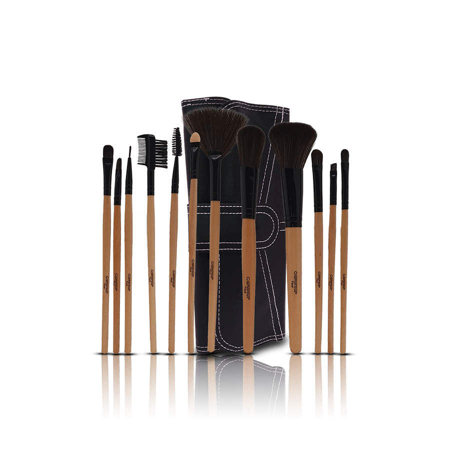 12 Pcs brush set | affordable