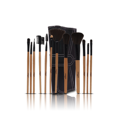 12 Pcs brush set | affordable