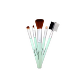 Color Institute 5 in 1 Brush Set