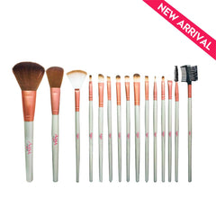 Aqua color line 15 pieces Brush Set.