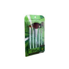 Color Institute 5 in 1 Brush Set