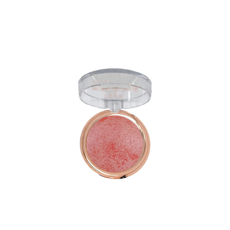 Aqua Color Line Terracotta Blusher & Highlighter 2-in-1