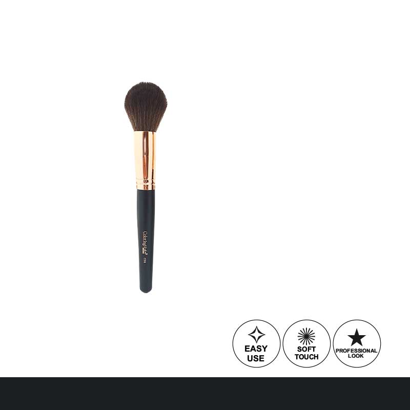 Color Institute Powder Brush No.04