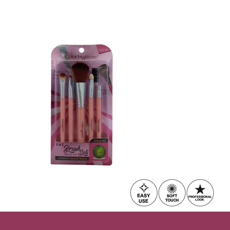 Color Institute 5 in 1 Brush Set