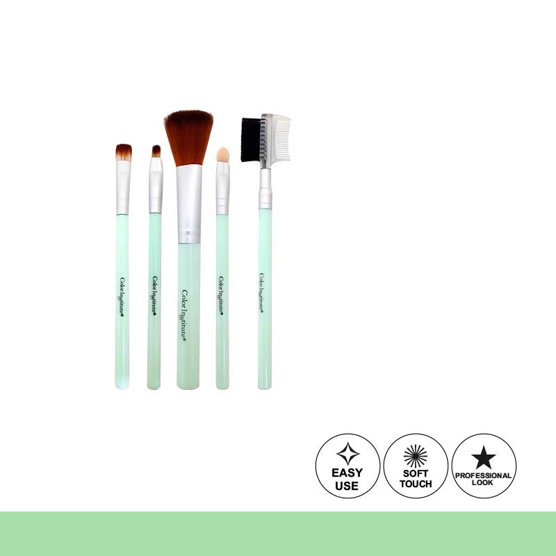 Color Institute 5 in 1 Brush Set