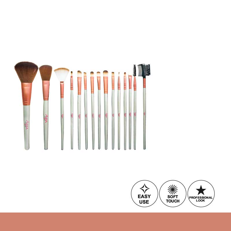 Aqua color line 15 pieces Brush Set.