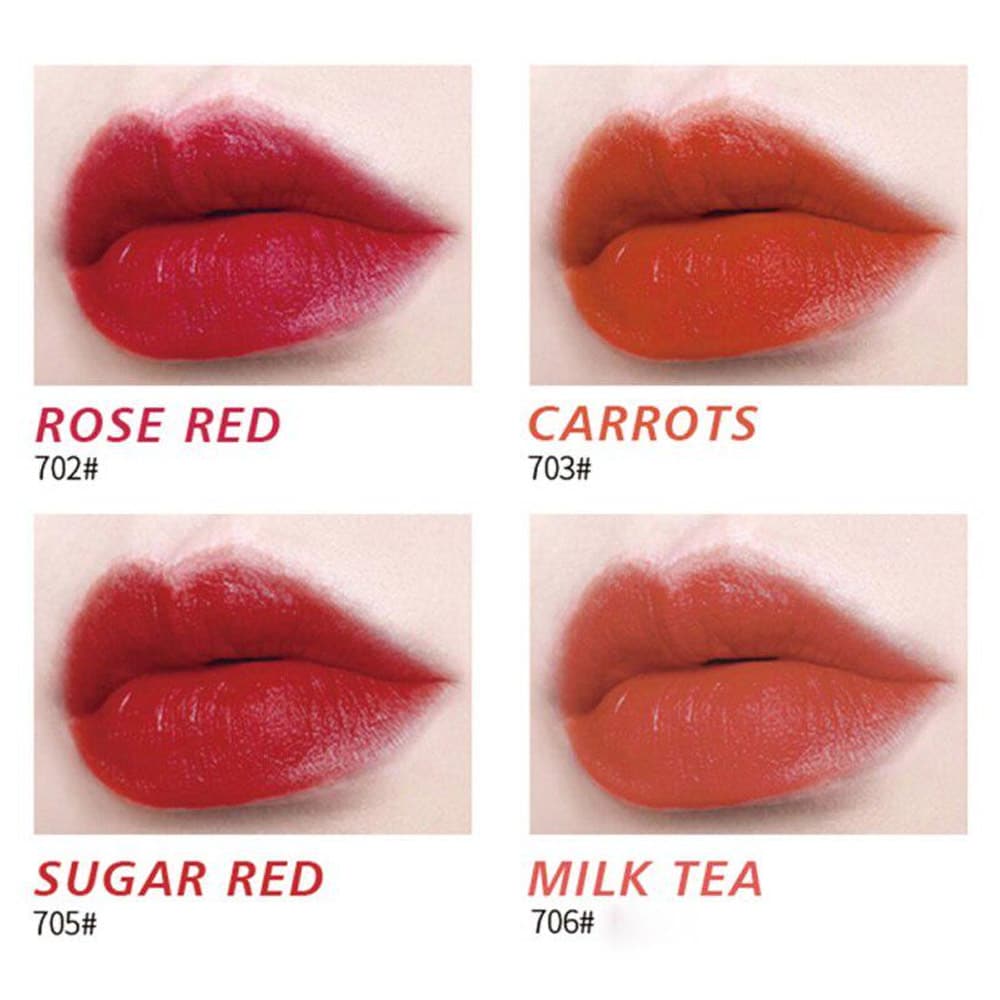 (1301) HengFang 4 in1 Lipgloss Rich Color For Attractive